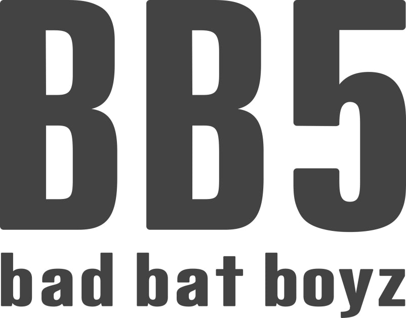 BB5 | bad bat boyz